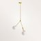 Chloris I Pendant by Nicolas Brevers for Gobolights 1