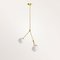 Chloris I Pendant by Nicolas Brevers for Gobolights, Image 1