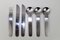 Stainless Steel Inox Cutlery by Sergio Asti for ICM, 1970s, Set of 6 1