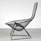 Bird Chair by Harry Bertoia for Knoll International, USA, 1950s, Image 9