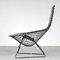 Bird Chair by Harry Bertoia for Knoll International, USA, 1950s 8