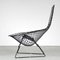 Bird Chair by Harry Bertoia for Knoll International, USA, 1950s, Image 8