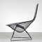 Sedia Bird di Harry Bertoia per Knoll International, USA, anni '50, Immagine 8