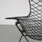 Bird Chair by Harry Bertoia for Knoll International, USA, 1950s 5