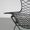 Bird Stuhl von Harry Bertoia für Knoll International, 1950er 5