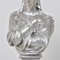 Silver-Plated Bronze Busts by Clesinger for Collas, 19th Century, Set of 2 10