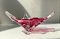 Vintage Pink Murano Glass Bowl from Seguso, 1960s 1