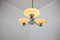 Mid-Century Chandelier from Lidokov, 1950s, Image 6