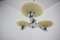 Mid-Century Chandelier from Lidokov, 1950s, Image 4