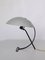 Mid-Century NB100 Table Lamp by Louis Kalff for Philips, 1950s, Image 3