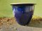 Large Bohemian Ceramic Planter 3