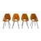 Italian Medea Chairs by Vittorio Nobili, 1950s, Set of 4 1