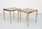 Brass Side Tables with Smoked Glass Tops, France, 1970s, Set of 2 1