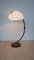 Serpente Stehlampe von Elio Martinelli für Martinelli Luce, 1960er 5