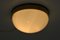 Industrial Bakelite Ceiling Light, 1950s, Image 7