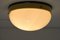 Industrielle Bakelite Deckenlampe, 1950er 9