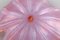 Scodella grande a forma di foglia in vetro rosa soffiato a bocca di Barovier & Toso, Immagine 7
