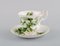 Servizio da tè Trillium per Nove persone in porcellana di Royal Albert, Inghilterra, set di 20, Immagine 6