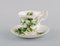 Trillium Tea Service for Nine People in Porcelain from Royal Albert, England, Set of 20 6