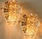Large Gilt Brass Faceted Crystal Sconces Wall Light 7