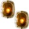 Brass and Brown Hand Blown Murano Glass Wall Lights by J. Kalmar, Set of 2, Image 3