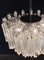 Murano Crystal Chandelier, Image 3