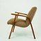 Mid-Century Austrian Beech Café Ritter Armchairs by Roland Rainer 5