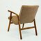 Mid-Century Austrian Beech Café Ritter Armchairs by Roland Rainer 6