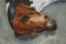 Helen Uter, Helen Uter, Chevernys Dogs, 2021, Acrylic on Linen 3