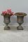 Antique French Medici Amphoras, Set of 2 11