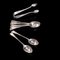 Antique English Silver Tea Spoon Service, Sheffield, Hallmark 1917 4