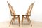 Blonde Elm Dining Chairs by Ercol Goldsmith, 1960s, Set of 4 4