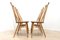 Blonde Elm Dining Chairs by Ercol Goldsmith, 1960s, Set of 4, Image 4