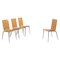 Chaises Olly Tango par Philippe Starck pour Driade, Set de 4 1