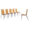 Chaises Philippe Starck pour Driade Olly Tango, Set de 6 1