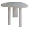 Petite Table Forme Libre 1