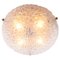 Murano Bubble Glass on Brass Flush Mount from Hillebrand, 1960s 1