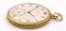Reloj de bolsillo de oro de 18 k de Ulysse Nardin, años 40, Imagen 3