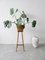 Support pour Plante en Bois et Formica, 1960 10