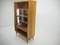 Mid-Century Bookcase by František Mezulánik, Czechoslovakia, 1960s 2