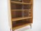 Mid-Century Bookcase by František Mezulánik, Czechoslovakia, 1960s 9