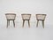 Speichen Stühle von Yngve Ekstrom für Nesto, Sweden, 1950er, 3er Set 5
