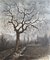 Arbre Branche Georges en Hiver, 1966 1