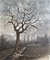 Georges Branch Tree in Winter, 1966 1