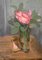 John Torcapel a Rose in a Glass, 1922, Image 1