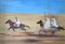 Willy Suter Hunt nel deserto, 1976, Immagine 1
