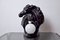 Lámpara estilo Regency en forma de caballo de cerámica negra, años 80, Imagen 7