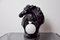 Hamburger Lampe im Regency Stil aus schwarzer Keramik, Frankreich, 1980er 1