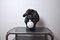 Lámpara estilo Regency en forma de caballo de cerámica negra, años 80, Imagen 5
