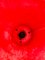 Macetero en forma de flor de plástico rojo, Imagen 7
